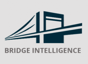 bridge intelligence logo